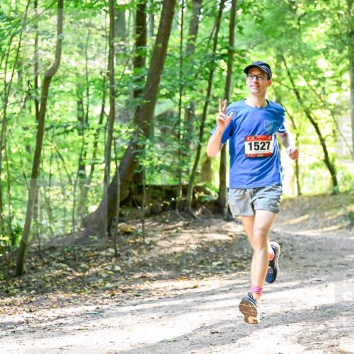 28.09.2025 - 33. Volkslauf durch das schöne Alstertal Dr. Thomas Lammeyer http://msf.ph/oto/8964753 28.09.2025 11:23:22 Laufen 1527 meine-sportfotos.de