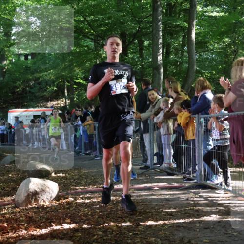 28.09.2025 - 33. Volkslauf durch das schöne Alstertal Strokosch-Dieckow http://msf.ph/oto/8964758 28.09.2025 11:14:52 Ziel 3362, 3366, 3924, 3939 meine-sportfotos.de
