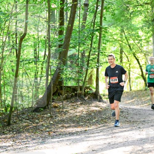28.09.2025 - 33. Volkslauf durch das schöne Alstertal Dr. Thomas Lammeyer http://msf.ph/oto/8964764 28.09.2025 11:23:29 Laufen 1539, 1537 meine-sportfotos.de
