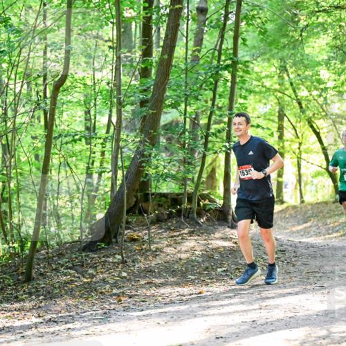 28.09.2025 - 33. Volkslauf durch das schöne Alstertal Dr. Thomas Lammeyer http://msf.ph/oto/8964766 28.09.2025 11:23:29 Laufen 153, 1537 meine-sportfotos.de