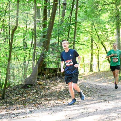 28.09.2025 - 33. Volkslauf durch das schöne Alstertal Dr. Thomas Lammeyer http://msf.ph/oto/8964768 28.09.2025 11:23:29 Laufen 1539, 1537 meine-sportfotos.de