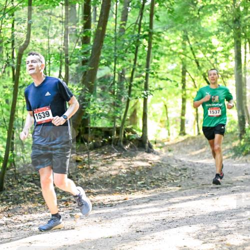 28.09.2025 - 33. Volkslauf durch das schöne Alstertal Dr. Thomas Lammeyer http://msf.ph/oto/8964770 28.09.2025 11:23:30 Laufen 1539, 1537 meine-sportfotos.de