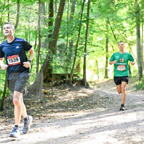 28.09.2025 - 33. Volkslauf durch das schöne Alstertal Dr. Thomas Lammeyer http://msf.ph/oto/8964771 28.09.2025 11:23:30 Laufen 1539, 1537 meine-sportfotos.de