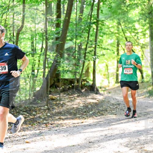 28.09.2025 - 33. Volkslauf durch das schöne Alstertal Dr. Thomas Lammeyer http://msf.ph/oto/8964772 28.09.2025 11:23:30 Laufen 1539, 1537 meine-sportfotos.de