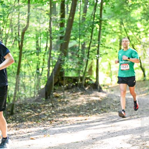 28.09.2025 - 33. Volkslauf durch das schöne Alstertal Dr. Thomas Lammeyer http://msf.ph/oto/8964774 28.09.2025 11:23:30 Laufen 1539, 1537 meine-sportfotos.de