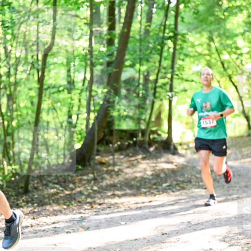 28.09.2025 - 33. Volkslauf durch das schöne Alstertal Dr. Thomas Lammeyer http://msf.ph/oto/8964775 28.09.2025 11:23:30 Laufen 1537 meine-sportfotos.de