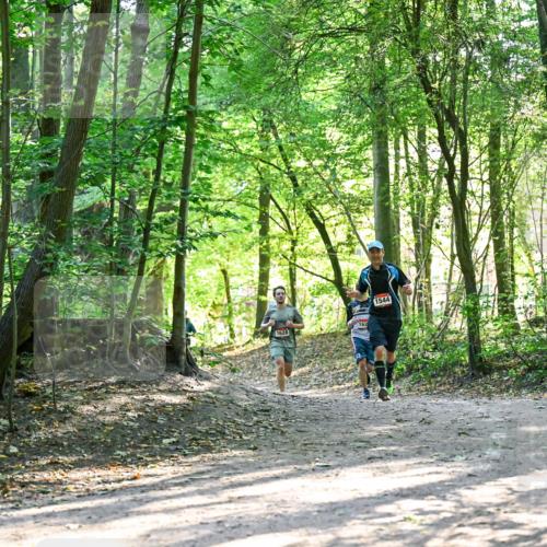28.09.2025 - 33. Volkslauf durch das schöne Alstertal Dr. Thomas Lammeyer http://msf.ph/oto/8964782 28.09.2025 11:23:46 Laufen 1628, 162, 1544 meine-sportfotos.de