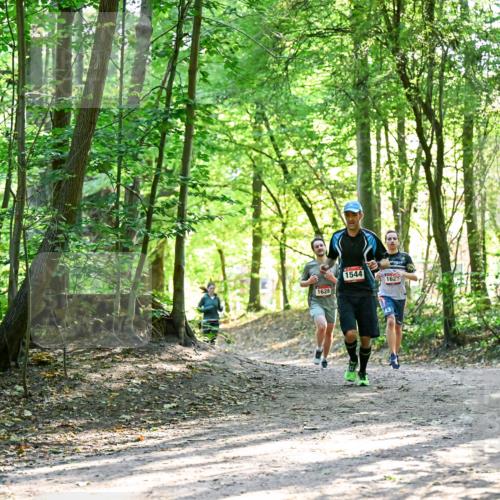 28.09.2025 - 33. Volkslauf durch das schöne Alstertal Dr. Thomas Lammeyer http://msf.ph/oto/8964792 28.09.2025 11:23:47 Laufen 1628, 1544, 162 meine-sportfotos.de