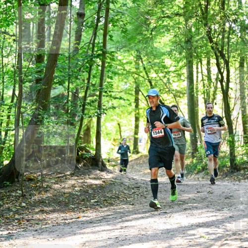 28.09.2025 - 33. Volkslauf durch das schöne Alstertal Dr. Thomas Lammeyer http://msf.ph/oto/8964799 28.09.2025 11:23:48 Laufen 1544, 1628, 43 meine-sportfotos.de