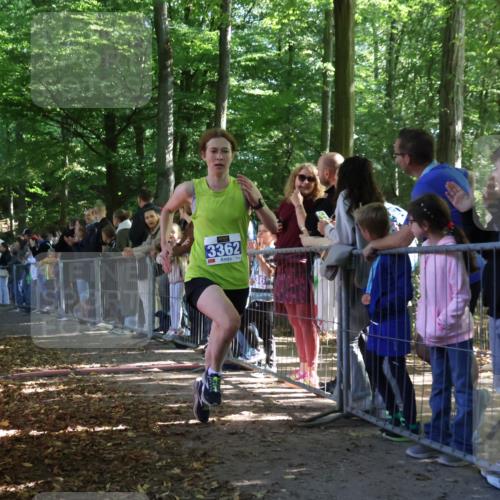 28.09.2025 - 33. Volkslauf durch das schöne Alstertal Strokosch-Dieckow http://msf.ph/oto/8964801 28.09.2025 11:14:55 Ziel 3362, 3406, 3939 meine-sportfotos.de