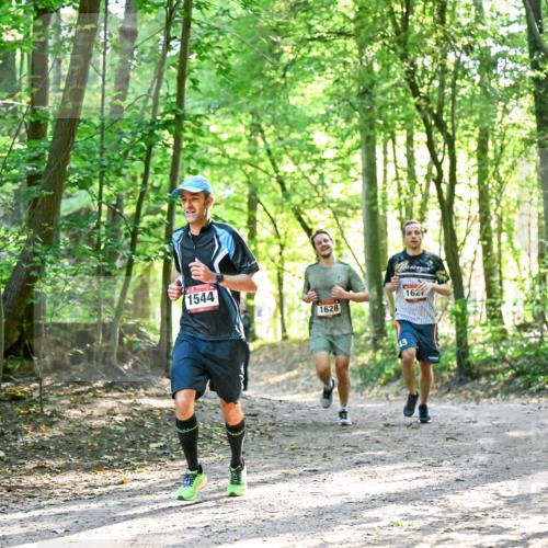 28.09.2025 - 33. Volkslauf durch das schöne Alstertal Dr. Thomas Lammeyer http://msf.ph/oto/8964802 28.09.2025 11:23:49 Laufen 1544, 1628, 162, 43 meine-sportfotos.de