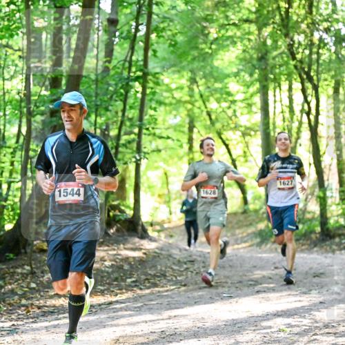 28.09.2025 - 33. Volkslauf durch das schöne Alstertal Dr. Thomas Lammeyer http://msf.ph/oto/8964806 28.09.2025 11:23:49 Laufen 1544, 1628, 1627 meine-sportfotos.de