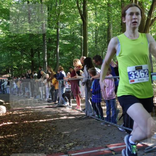 28.09.2025 - 33. Volkslauf durch das schöne Alstertal Strokosch-Dieckow http://msf.ph/oto/8964819 28.09.2025 11:14:55 Ziel 3362, 3406, 3939 meine-sportfotos.de