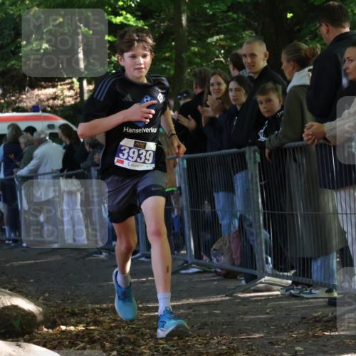28.09.2025 - 33. Volkslauf durch das schöne Alstertal Strokosch-Dieckow http://msf.ph/oto/8964823 28.09.2025 11:14:58 Ziel 3406, 3939 meine-sportfotos.de