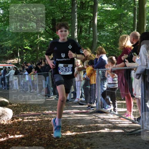 28.09.2025 - 33. Volkslauf durch das schöne Alstertal Strokosch-Dieckow http://msf.ph/oto/8964837 28.09.2025 11:14:59 Ziel 3406, 3939 meine-sportfotos.de