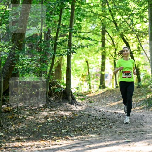 28.09.2025 - 33. Volkslauf durch das schöne Alstertal Dr. Thomas Lammeyer http://msf.ph/oto/8964840 28.09.2025 11:24:07 Laufen 1005 meine-sportfotos.de