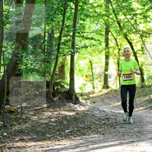 28.09.2025 - 33. Volkslauf durch das schöne Alstertal Dr. Thomas Lammeyer http://msf.ph/oto/8964841 28.09.2025 11:24:07 Laufen 1005 meine-sportfotos.de