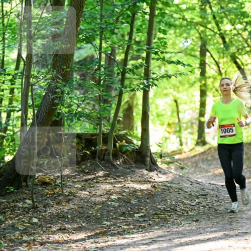 28.09.2025 - 33. Volkslauf durch das schöne Alstertal Dr. Thomas Lammeyer http://msf.ph/oto/8964842 28.09.2025 11:24:08 Laufen 1005 meine-sportfotos.de
