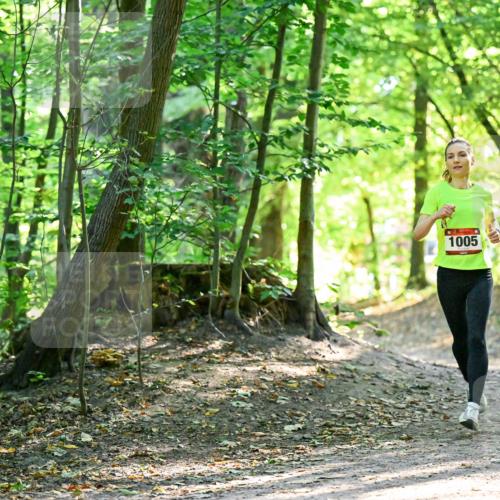 28.09.2025 - 33. Volkslauf durch das schöne Alstertal Dr. Thomas Lammeyer http://msf.ph/oto/8964844 28.09.2025 11:24:08 Laufen 1005 meine-sportfotos.de