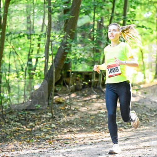 28.09.2025 - 33. Volkslauf durch das schöne Alstertal Dr. Thomas Lammeyer http://msf.ph/oto/8964853 28.09.2025 11:24:09 Laufen 1005 meine-sportfotos.de