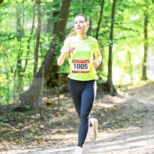 28.09.2025 - 33. Volkslauf durch das schöne Alstertal Dr. Thomas Lammeyer http://msf.ph/oto/8964856 28.09.2025 11:24:09 Laufen 1005 meine-sportfotos.de