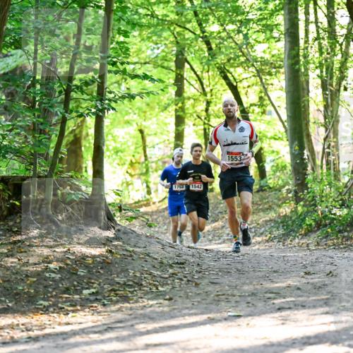 28.09.2025 - 33. Volkslauf durch das schöne Alstertal Dr. Thomas Lammeyer http://msf.ph/oto/8964857 28.09.2025 11:24:22 Laufen 1768, 1542, 1553 meine-sportfotos.de