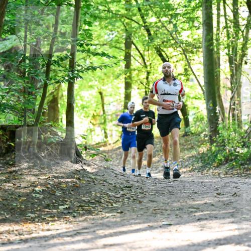 28.09.2025 - 33. Volkslauf durch das schöne Alstertal Dr. Thomas Lammeyer http://msf.ph/oto/8964858 28.09.2025 11:24:22 Laufen 1542, 1768 meine-sportfotos.de