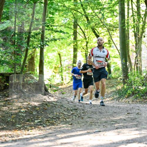28.09.2025 - 33. Volkslauf durch das schöne Alstertal Dr. Thomas Lammeyer http://msf.ph/oto/8964859 28.09.2025 11:24:22 Laufen 768, 1542, 1553 meine-sportfotos.de