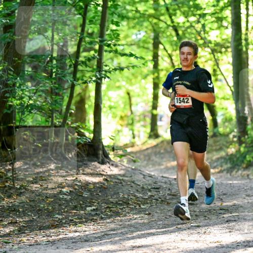 28.09.2025 - 33. Volkslauf durch das schöne Alstertal Dr. Thomas Lammeyer http://msf.ph/oto/8964879 28.09.2025 11:24:25 Laufen 1542 meine-sportfotos.de