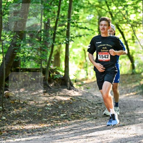 28.09.2025 - 33. Volkslauf durch das schöne Alstertal Dr. Thomas Lammeyer http://msf.ph/oto/8964881 28.09.2025 11:24:26 Laufen 1542 meine-sportfotos.de