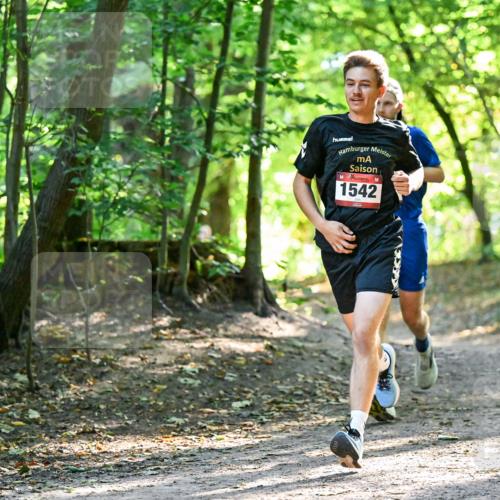 28.09.2025 - 33. Volkslauf durch das schöne Alstertal Dr. Thomas Lammeyer http://msf.ph/oto/8964882 28.09.2025 11:24:26 Laufen 1542 meine-sportfotos.de