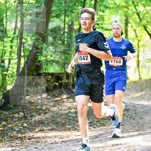 28.09.2025 - 33. Volkslauf durch das schöne Alstertal Dr. Thomas Lammeyer http://msf.ph/oto/8964885 28.09.2025 11:24:26 Laufen 1542, 1768 meine-sportfotos.de