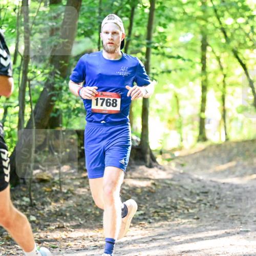 28.09.2025 - 33. Volkslauf durch das schöne Alstertal Dr. Thomas Lammeyer http://msf.ph/oto/8964889 28.09.2025 11:24:27 Laufen 1542, 1768, 222 meine-sportfotos.de