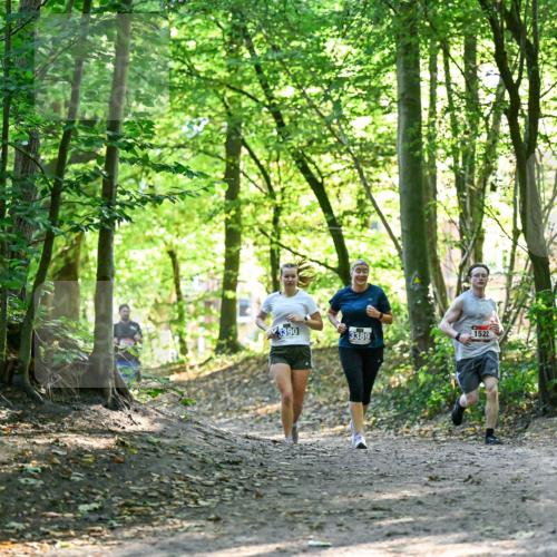 28.09.2025 - 33. Volkslauf durch das schöne Alstertal Dr. Thomas Lammeyer http://msf.ph/oto/8964899 28.09.2025 11:24:34 Laufen 3390, 3389, 1522 meine-sportfotos.de