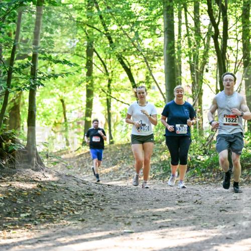 28.09.2025 - 33. Volkslauf durch das schöne Alstertal Dr. Thomas Lammeyer http://msf.ph/oto/8964915 28.09.2025 11:24:36 Laufen 3390, 3389, 1522 meine-sportfotos.de