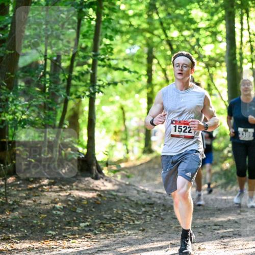 28.09.2025 - 33. Volkslauf durch das schöne Alstertal Dr. Thomas Lammeyer http://msf.ph/oto/8964927 28.09.2025 11:24:38 Laufen 1522, 3389 meine-sportfotos.de