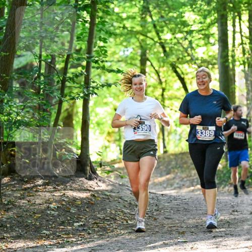 28.09.2025 - 33. Volkslauf durch das schöne Alstertal Dr. Thomas Lammeyer http://msf.ph/oto/8964935 28.09.2025 11:24:39 Laufen 3390, 3389 meine-sportfotos.de