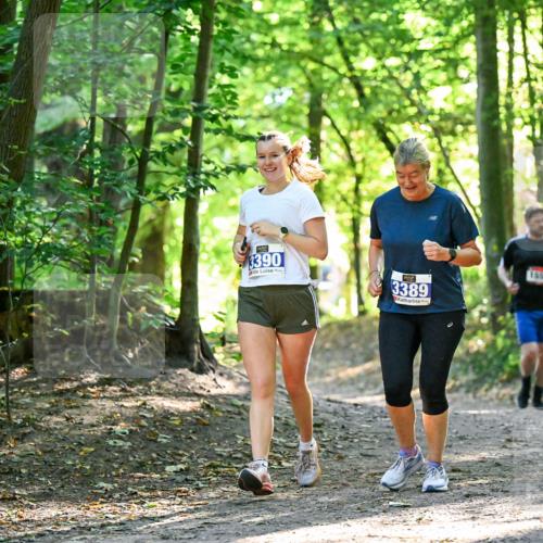 28.09.2025 - 33. Volkslauf durch das schöne Alstertal Dr. Thomas Lammeyer http://msf.ph/oto/8964937 28.09.2025 11:24:39 Laufen 3390, 3389, 1654 meine-sportfotos.de