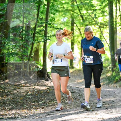 28.09.2025 - 33. Volkslauf durch das schöne Alstertal Dr. Thomas Lammeyer http://msf.ph/oto/8964939 28.09.2025 11:24:39 Laufen 3390, 3389, 1350 meine-sportfotos.de