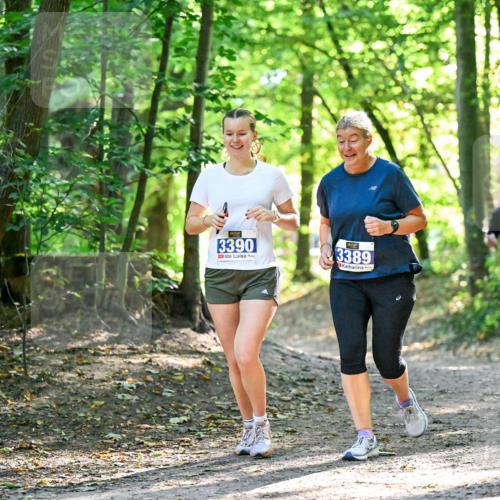 28.09.2025 - 33. Volkslauf durch das schöne Alstertal Dr. Thomas Lammeyer http://msf.ph/oto/8964940 28.09.2025 11:24:40 Laufen 3390, 3389, 1550 meine-sportfotos.de