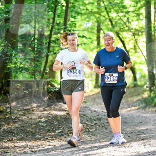 28.09.2025 - 33. Volkslauf durch das schöne Alstertal Dr. Thomas Lammeyer http://msf.ph/oto/8964941 28.09.2025 11:24:40 Laufen 3390, 3389 meine-sportfotos.de