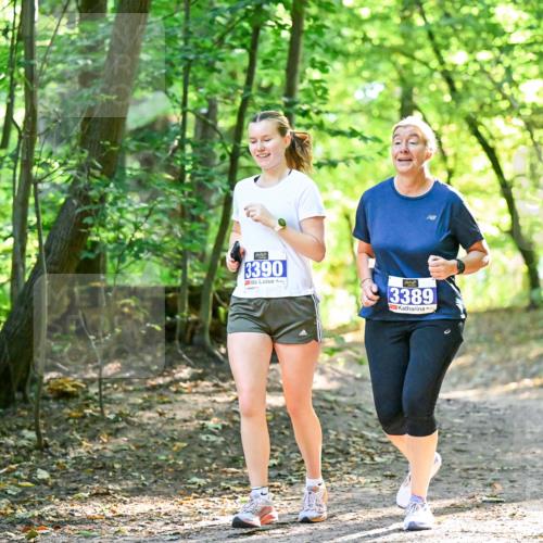 28.09.2025 - 33. Volkslauf durch das schöne Alstertal Dr. Thomas Lammeyer http://msf.ph/oto/8964943 28.09.2025 11:24:40 Laufen 3390, 3389 meine-sportfotos.de