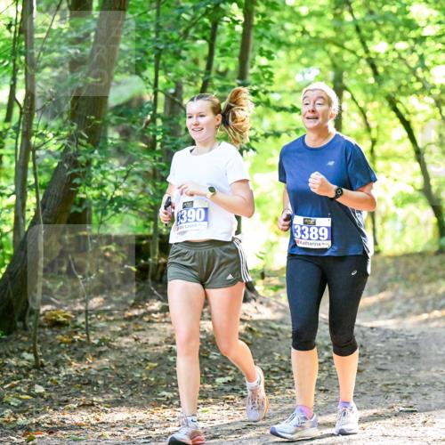 28.09.2025 - 33. Volkslauf durch das schöne Alstertal Dr. Thomas Lammeyer http://msf.ph/oto/8964945 28.09.2025 11:24:40 Laufen 390, 3389, 1550 meine-sportfotos.de