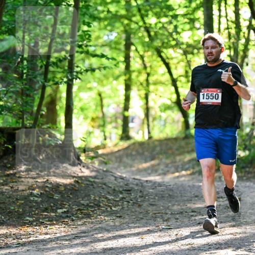28.09.2025 - 33. Volkslauf durch das schöne Alstertal Dr. Thomas Lammeyer http://msf.ph/oto/8964952 28.09.2025 11:24:42 Laufen 1550 meine-sportfotos.de