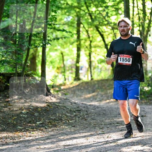 28.09.2025 - 33. Volkslauf durch das schöne Alstertal Dr. Thomas Lammeyer http://msf.ph/oto/8964953 28.09.2025 11:24:42 Laufen 1550 meine-sportfotos.de