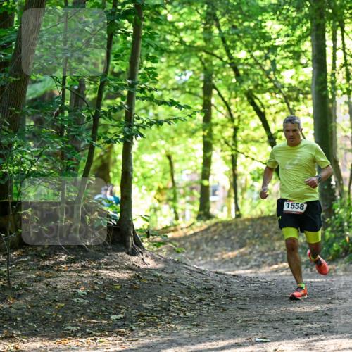 28.09.2025 - 33. Volkslauf durch das schöne Alstertal Dr. Thomas Lammeyer http://msf.ph/oto/8964958 28.09.2025 11:25:04 Laufen 1558 meine-sportfotos.de