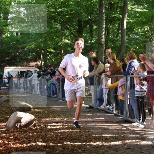 28.09.2025 - 33. Volkslauf durch das schöne Alstertal Strokosch-Dieckow http://msf.ph/oto/8964962 28.09.2025 11:16:31 Ziel 3925 meine-sportfotos.de