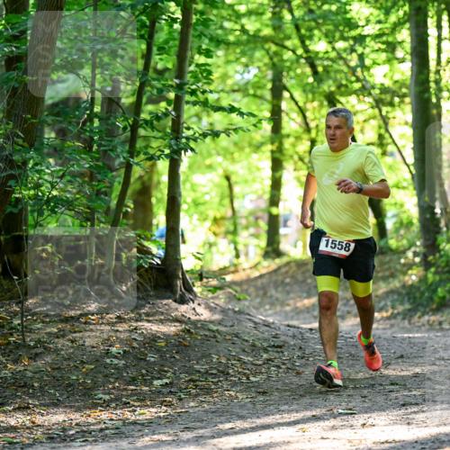 28.09.2025 - 33. Volkslauf durch das schöne Alstertal Dr. Thomas Lammeyer http://msf.ph/oto/8964963 28.09.2025 11:25:04 Laufen 1558 meine-sportfotos.de