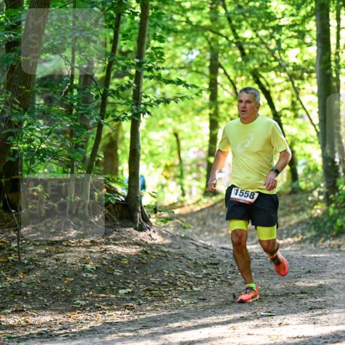 28.09.2025 - 33. Volkslauf durch das schöne Alstertal Dr. Thomas Lammeyer http://msf.ph/oto/8964964 28.09.2025 11:25:05 Laufen 1558 meine-sportfotos.de