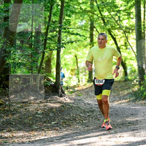 28.09.2025 - 33. Volkslauf durch das schöne Alstertal Dr. Thomas Lammeyer http://msf.ph/oto/8964965 28.09.2025 11:25:05 Laufen 1558 meine-sportfotos.de